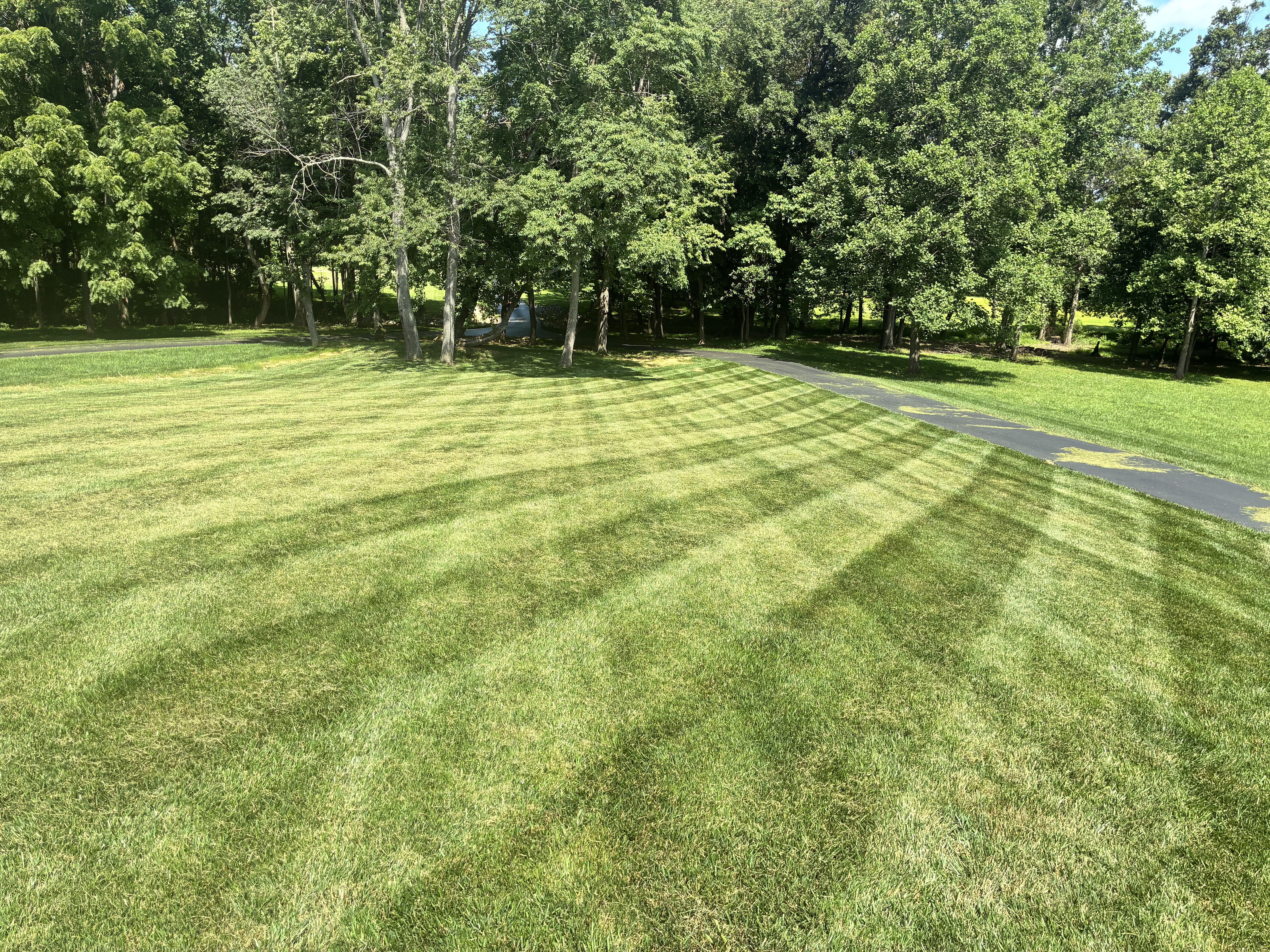 Weekly Cut Project